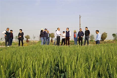 产业链整合才是做强中国农业的真正出路 - 行业新闻 - 北京东方迈德科技有限公司