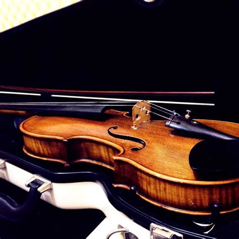 学小提琴最难的是什么？ - 知乎