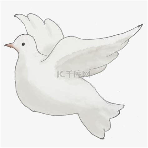 卡通和平鸽公益插画素材图片免费下载-千库网