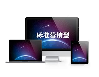 郑州网站优化公司-SEO外包、快照排名推广服务-野狼SEO团队