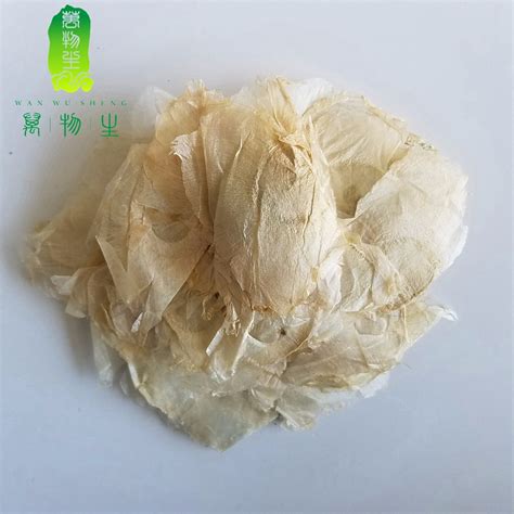 千张纸图片