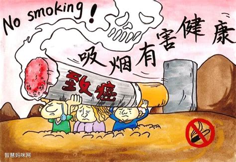 烟草的危害手抄报 关于烟的危害手抄报 -蒲城教育文学网