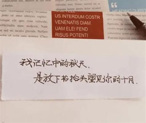 一家河南烤肠公司，正在占领抽象文化圈_澎湃号·湃客_澎湃新闻-The Paper