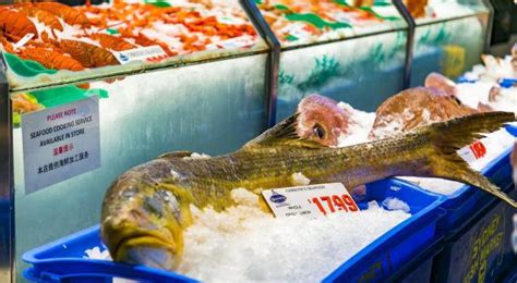 附近哪里有卖观赏鱼的地方（观赏鱼批发市场）－营销策划网