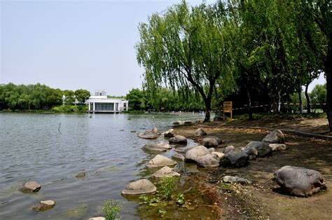 上海世纪公园高清图片下载-正版图片500983147-摄图网