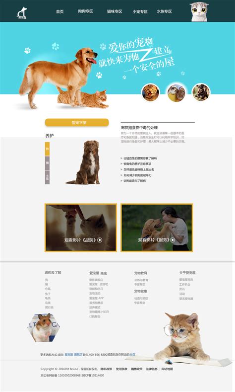 一个宠物商城网站|网页|电商|乌镇大道 - 原创作品 - 站酷 (ZCOOL)