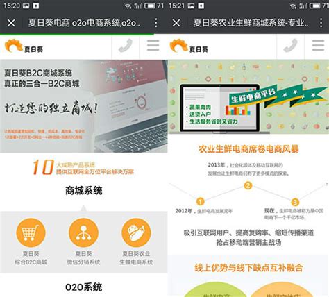 O2O商城系统APP开发-广州软件开发公司|广州软件开发_ 定制软件开发|软件外包_奕环科技
