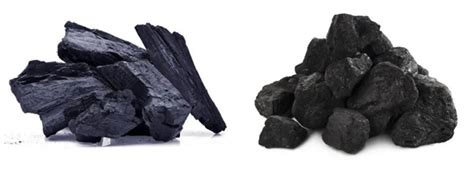 中国签订煤炭进口协议，这些煤炭知识你都知道吗？|煤炭|煤层|植物_新浪新闻