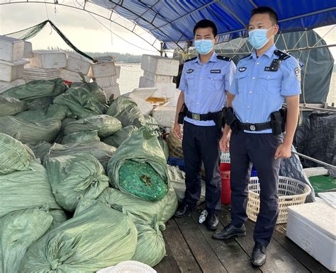 海南警方查扣走私槟榔约10.5吨——上海热线新闻频道