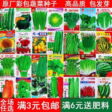 蔬菜种子♥36种可选♥包对版♥打造阳台菜园 - 花花优选