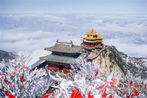 行走河南·读懂中国丨春游老君山 这些美景值得一看 - 河南省文化和旅游厅
