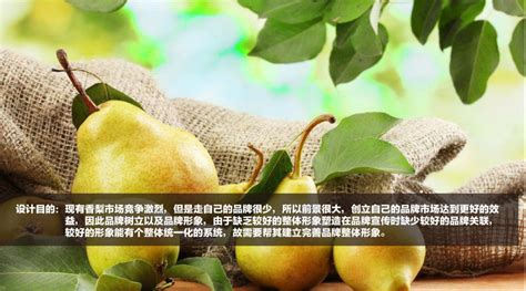 农产品品牌取名-四川龙腾华夏营销有限公司