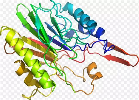 蛋白对接_RosettaDock: 蛋白-蛋白复合物对接预测_好爱赵辰龙的博客-CSDN博客
