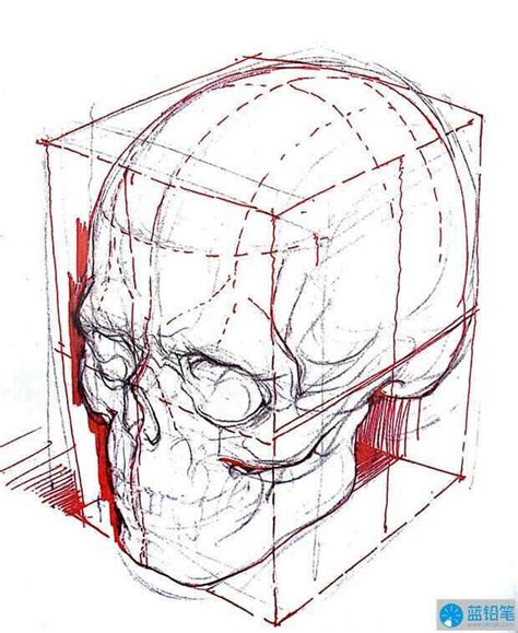 3D模型-现代人类头骨模型-M0003074249-炫云云模型网