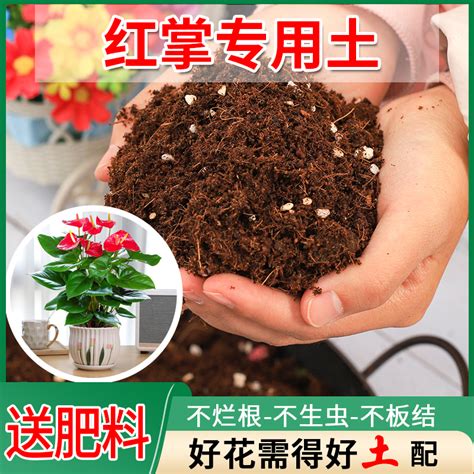 红掌专用土养花种植土通用型营养土家用土壤种花有机有机土蚯蚓土-淘宝网