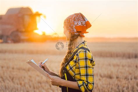 日落时麦田农妇与联合收割机高清图片下载-正版图片505779901-摄图网