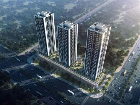 湛江市住房和城乡建设局全面上线“数字住房”（粤安居）一体化平台
