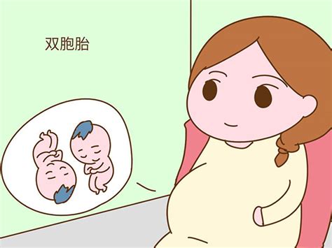 多胎妊娠 - 知乎