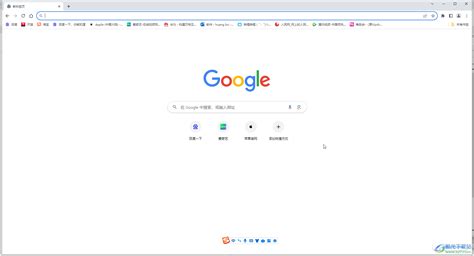 谷歌浏览器怎么打开速度慢怎么办-Google Chrome电脑版解决打开速度慢的方法教程 - 极光下载站