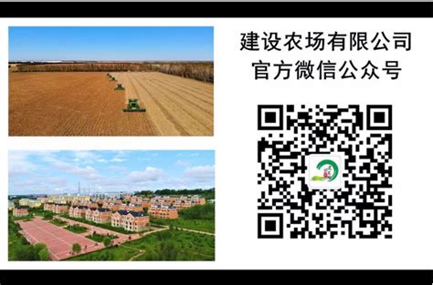 中俄跨境木材综合加工模式获黑龙江省复制推广-中国木业网