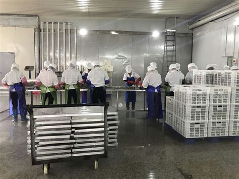 超低温液氮速冻机预制菜龙虾海鲜冷冻不结霜-科威嘉尼（江苏）制冷设备有限公司