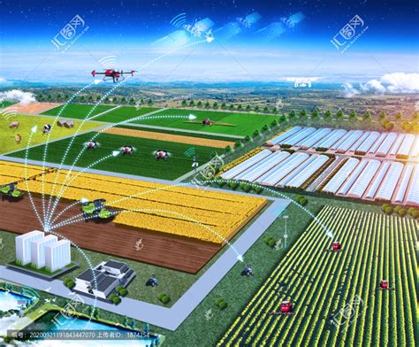 大数据赋能智慧农业为乡村振兴插上智慧“翅膀”_智慧农业
