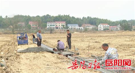 岳阳县步仙镇：抢抓施工黄金期 积极推进高标准农田建设