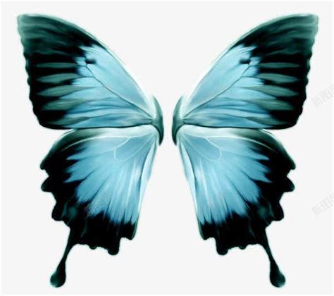 展开翅膀的蝴蝶素材图片免费下载-千库网