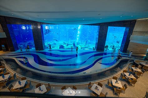 大型鱼缸图片,10米超大鱼缸效果图,9米巨型鱼缸_大山谷图库