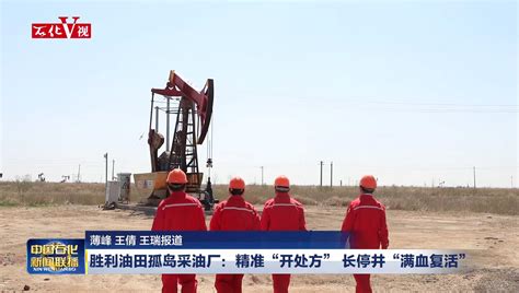 胜利油田纯梁采油厂2.5兆瓦光伏项目建成投产_中国石化网络视频