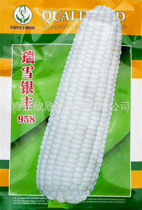 瑞雪银丰白糯玉米种子高产粘玉米甜糯 白糯玉米种籽孑高产春季-阿里巴巴