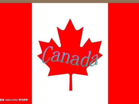 移民加拿大英语要求是什么（英语不好能移民加拿大吗？）-飞际海外通