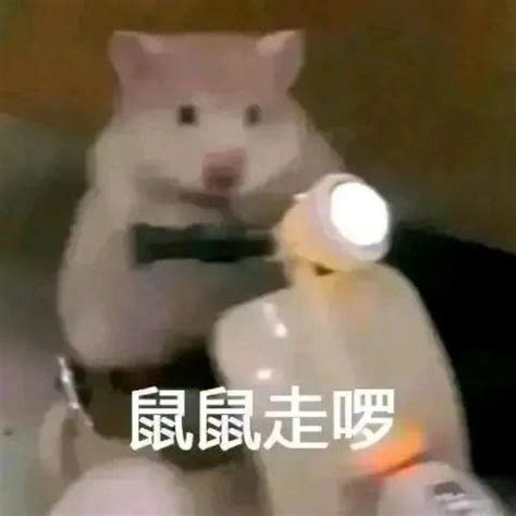 死到临头表情包图片