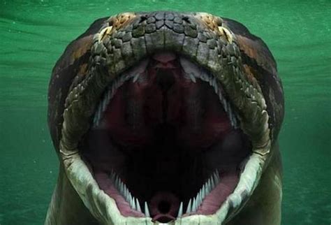 100米巨蛇巨型,100米巨蛇蟒蛇,100米巨蛇_大山谷图库