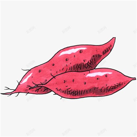 卡通手绘红色红薯插画png图片免费下载-素材7NijUggkq-新图网
