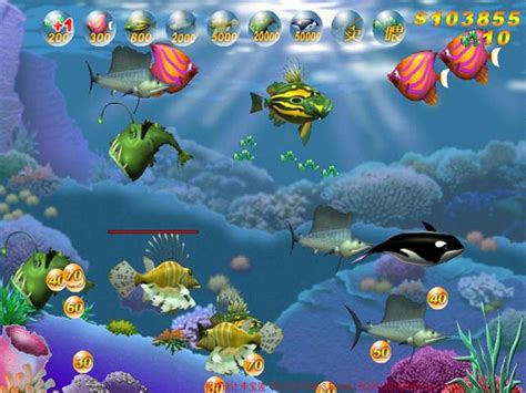 有一款大鱼吃小鱼的游戏叫什么来着 好玩的进化手游介绍_九游手机游戏