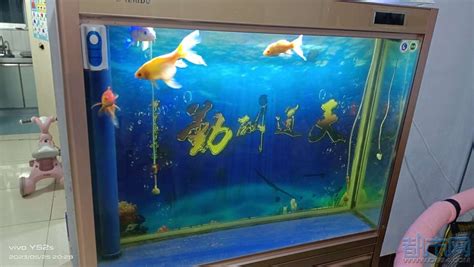 海鲜鱼缸饭店商用贝类池超市卖鱼专用玻璃鱼缸暂养池鱼池制冷-阿里巴巴