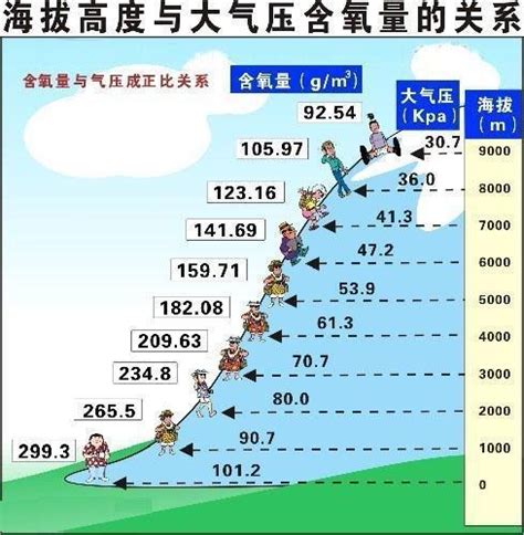 昆明海拔高度是多少米（中国海拔最高的城市排名） - 扬帆号
