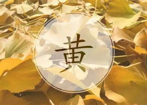 黄姓非主流头像