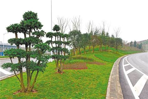 8款园林绿化设计图-中国木业网