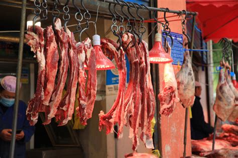 肉牛买、卖的地方为啥交肉牛交易市场_肉牛引种指南-小牛犊价格|牛苗价格|张北牛市场|张北县牲畜市场王成经纪部|