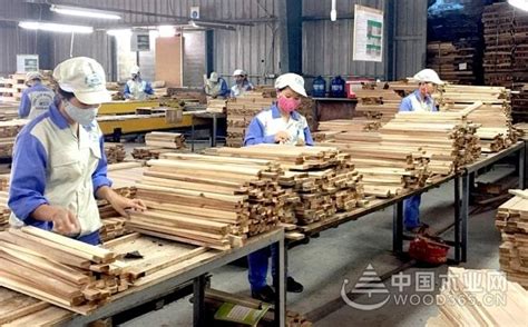 国内木制品需求有增无减，木材加工行业发展加速-地板网