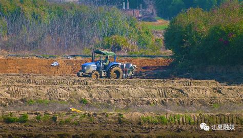 平原县 2020年高标准农田建设三唐乡项目区_德州新闻网