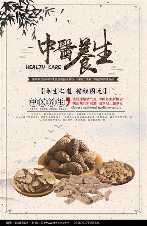 中医养生文化海报设计图片素材_医疗美容图片_海报图片_第6张_红动中国