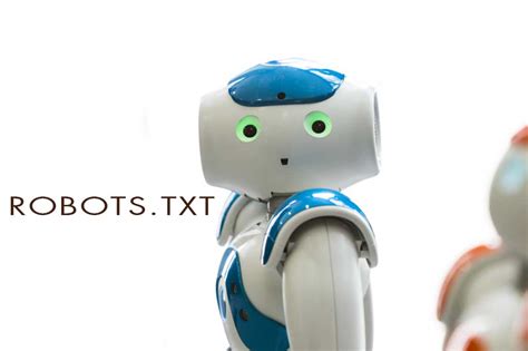 网站SEO诊断之robots.txt文件配置误区及详细写法 - 泪雪博客