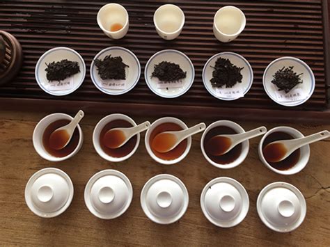 精选绿茶【价格 批发 生产】-武汉裕德茶叶有限公司