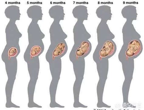 怀孕5个月胎儿真实图片（怀孕5个半月做四维彩超，看到胎儿咧嘴微笑，孕妇既惊喜又惊讶） | 说明书网