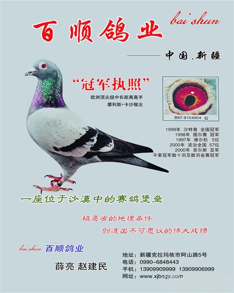天津开创者国际赛鸽公棚图片查看-中国信鸽信息网各地公棚