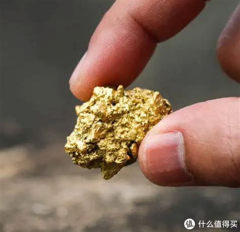黄金海 的图像结果
