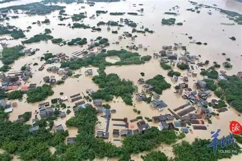 广东今年的洪水很大！英德危急|英德|洪水|水位_新浪新闻
